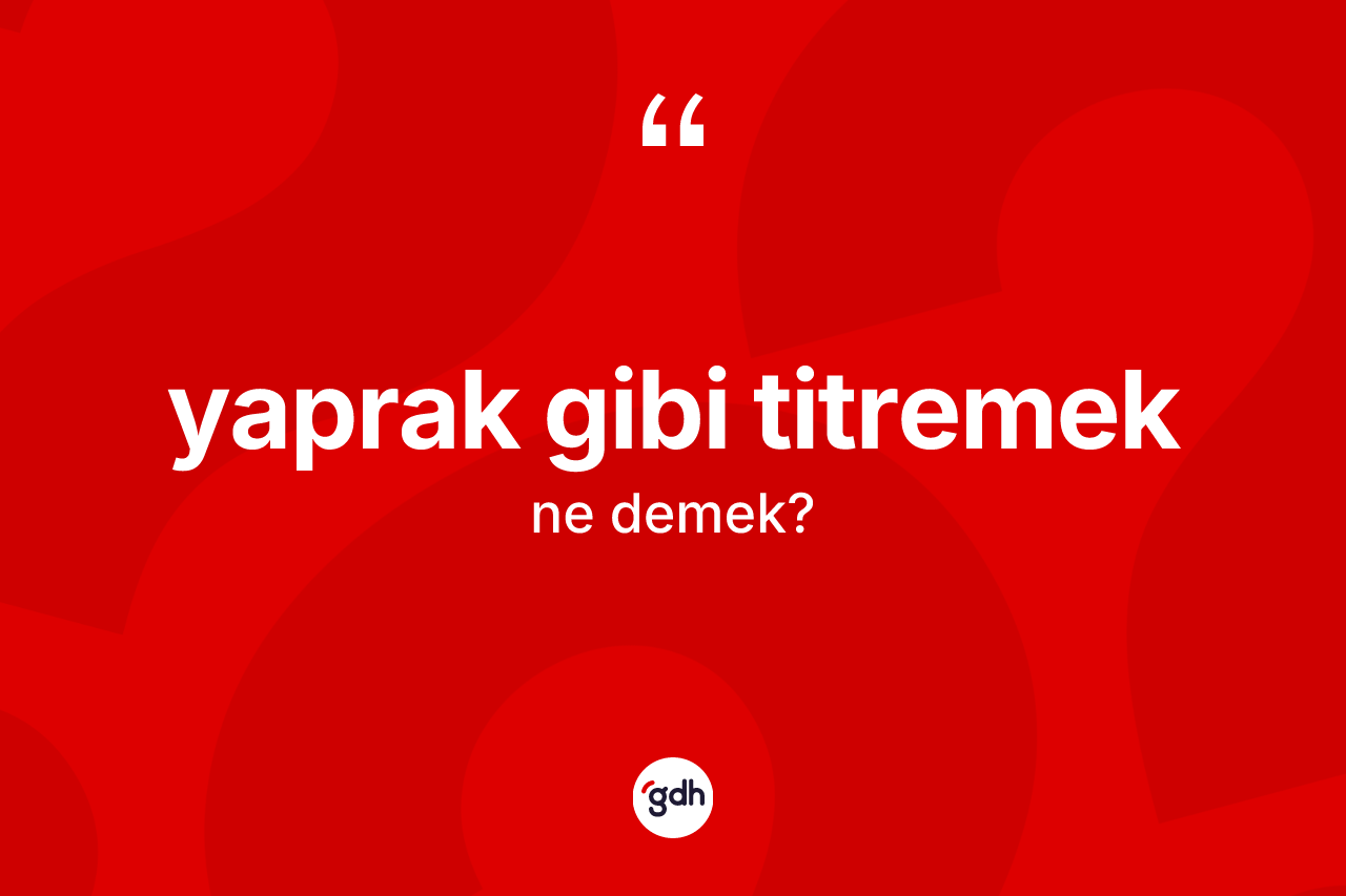 Yaprak gibi titremek ifadesinin kısaca anlamı nedir? Yaprak gibi titremek sözünün TDK'ya göre anlamı nedir?