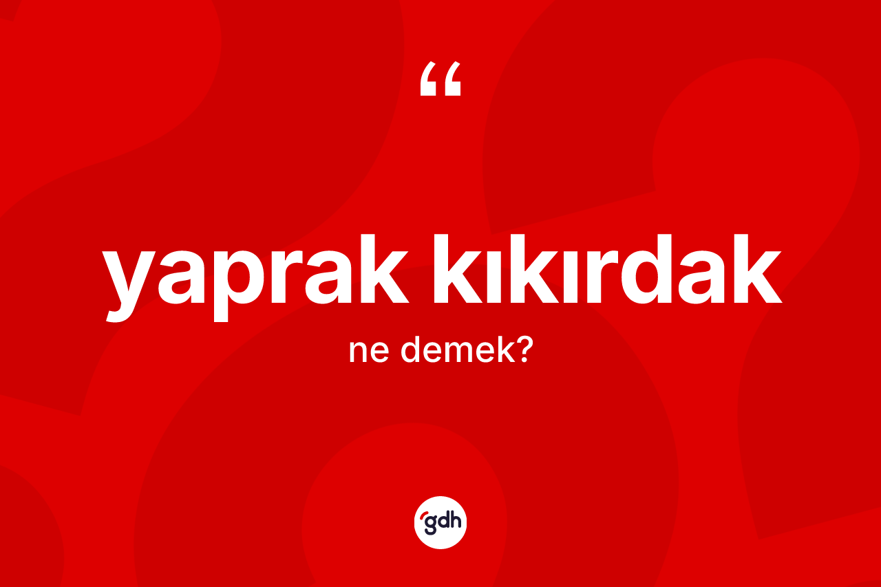 Yaprak kıkırdak kelimesinin sözlükteki tanımı nedir? Yaprak kıkırdağın kısaca tanımı nedir?