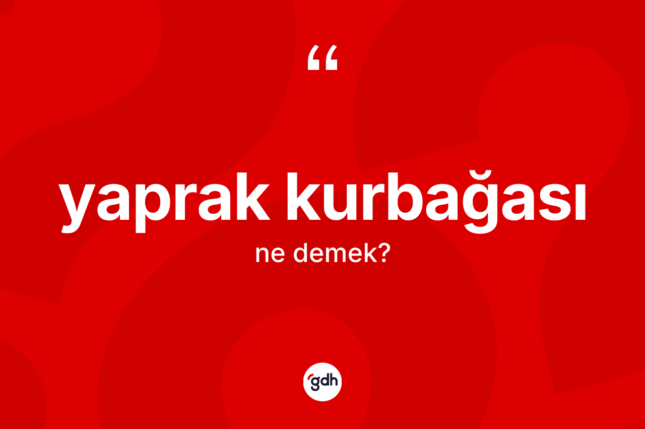 Yaprak kurbağası ne demek? Yaprak kurbağası kelimesinin özellikleri nelerdir?