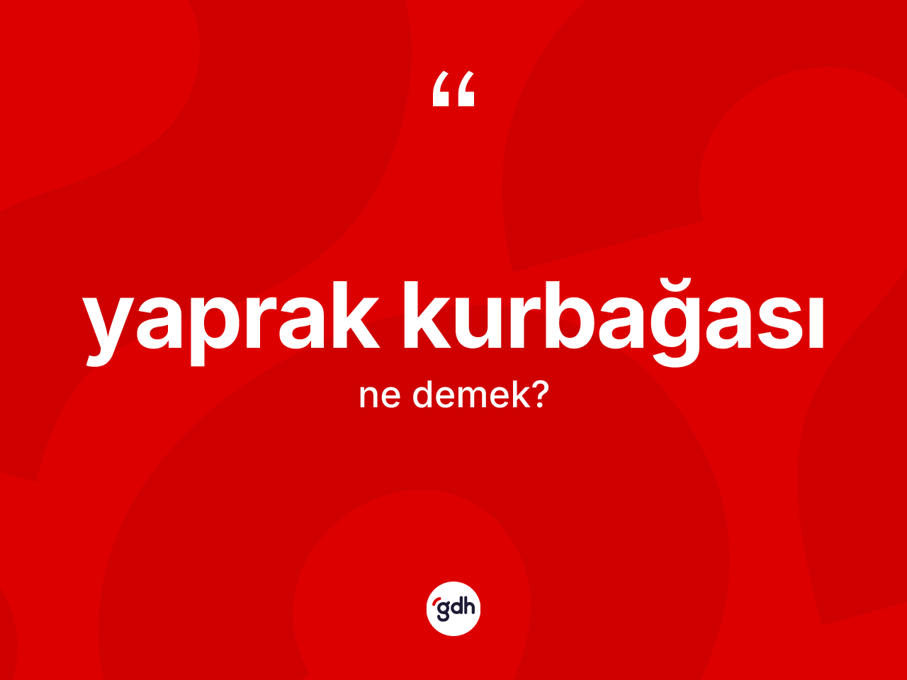 Yaprak kurbağası ne demek? Yaprak kurbağası kelimesinin özellikleri nelerdir?