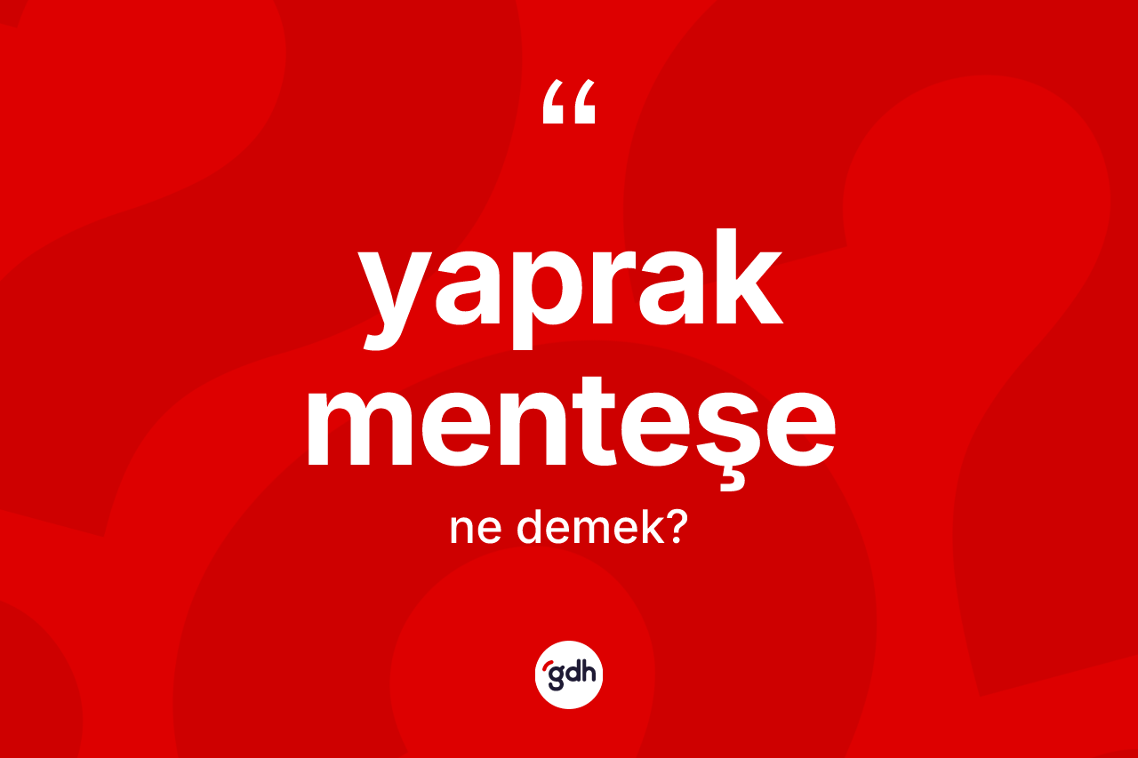 Yaprak menteşe ne anlama gelir? Yaprak menteşenin TDK'ya göre anlamı nedir?