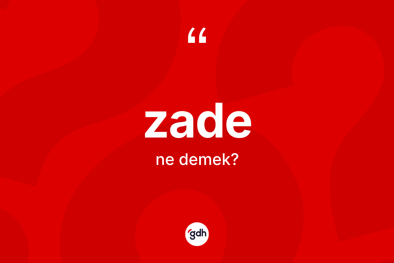 Zade kelimesinin tanımı nedir? Zadenin sözlükteki anlamı nedir?