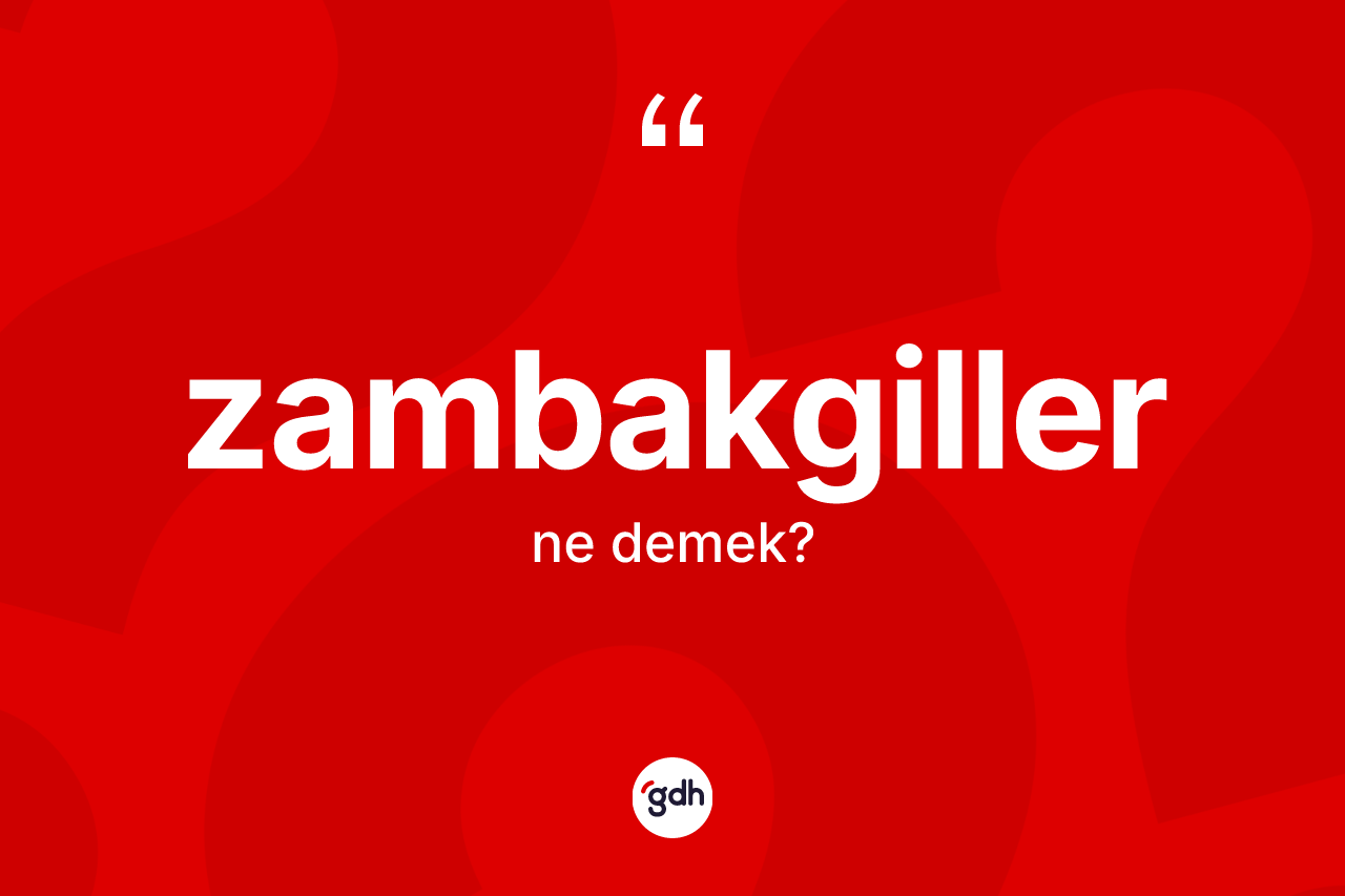 Zambakgiller kelimesinin anlamı nedir? Zambakgillerin TDK'ya göre anlamı nedir?