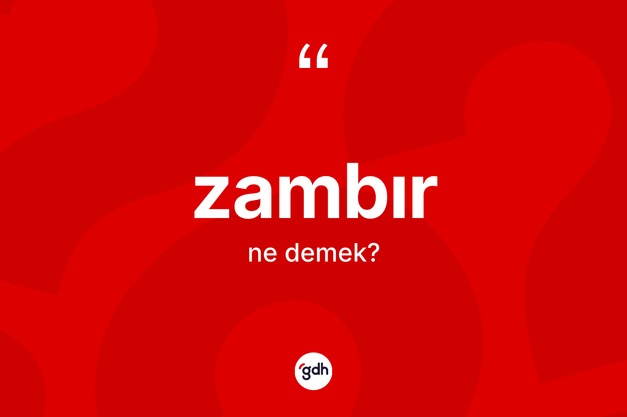 Zambır ne demek? Zambır kelimesinin TDK anlamı nedir?