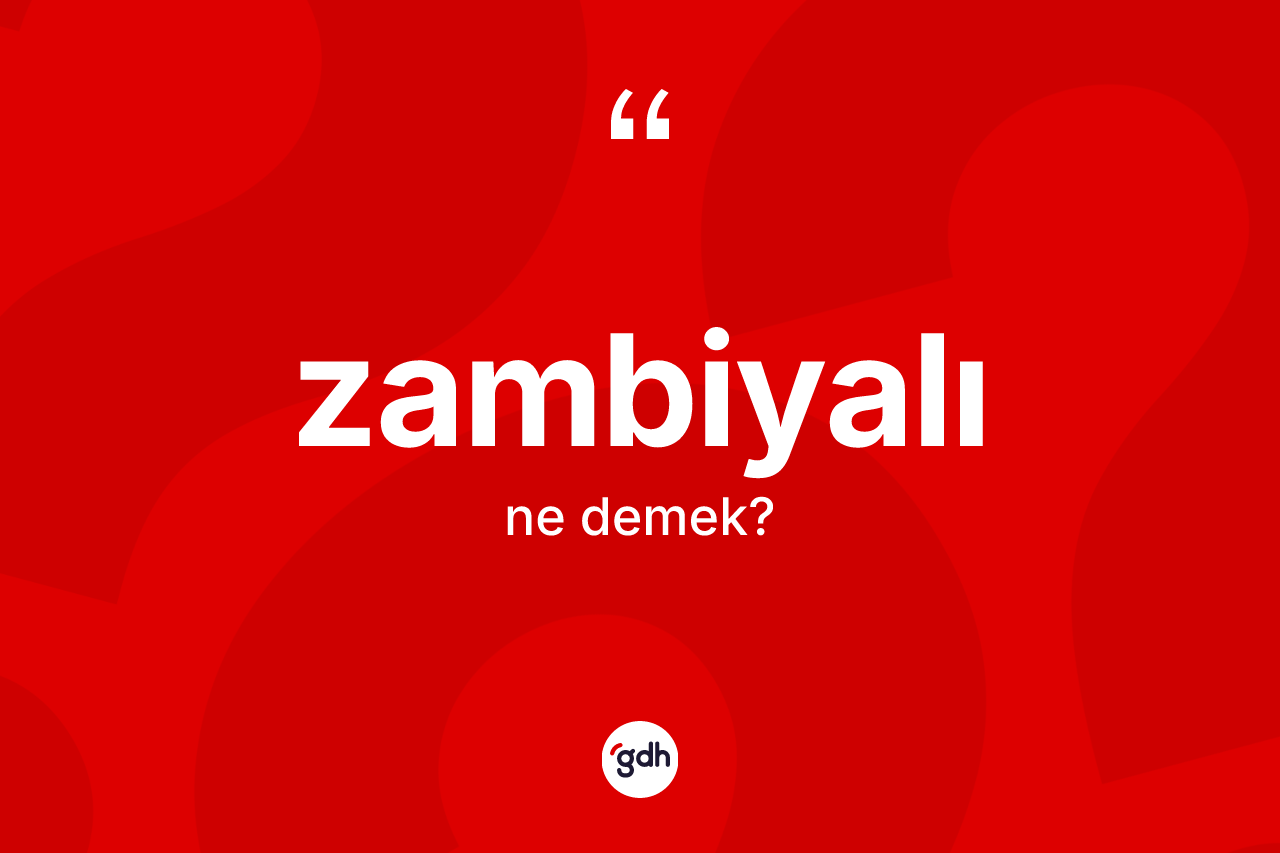 Zambiyalı kelimesinin anlamı nedir? Zambiyalı kelimesinin TDK'ya göre açıklaması nedir?