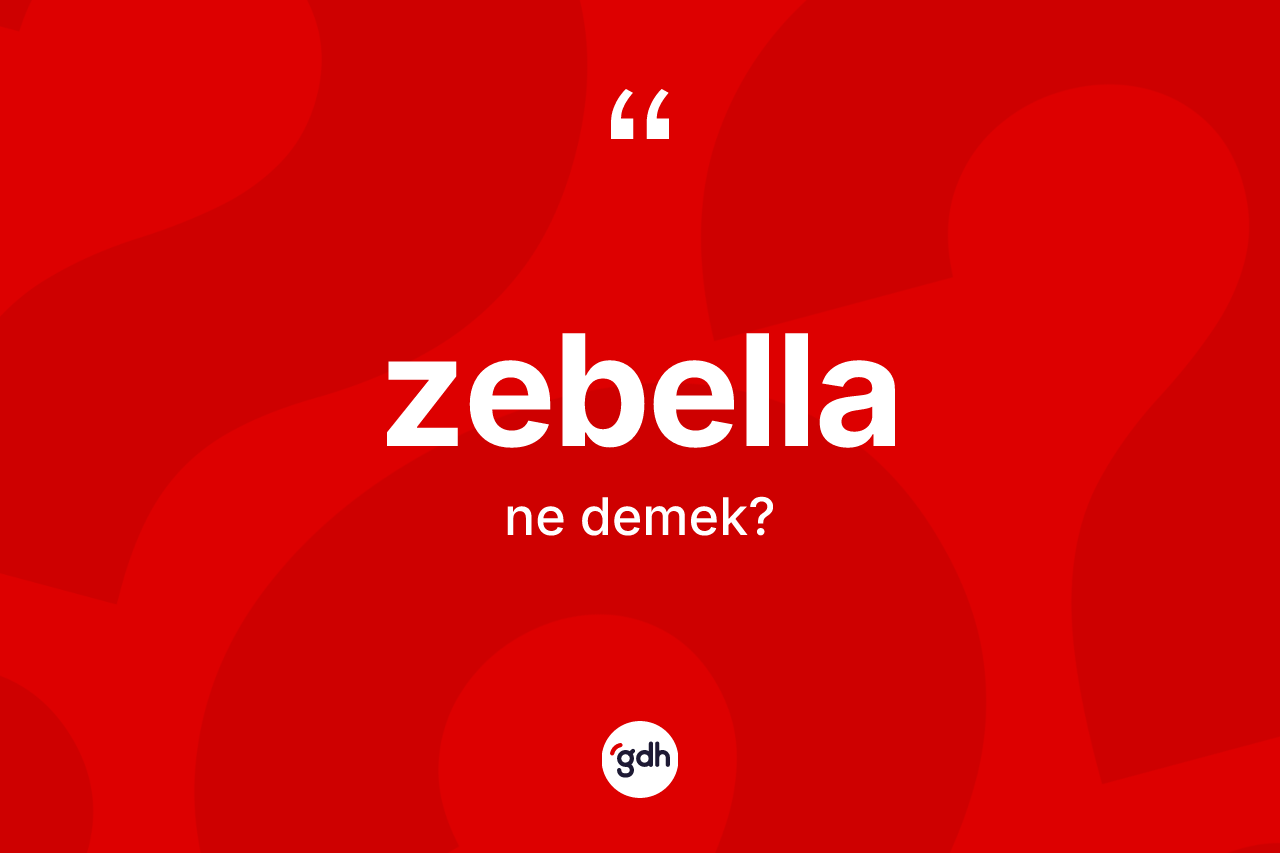 Zebella kelimesi ne demek? Zebellanın sözlükteki anlamı nedir?
