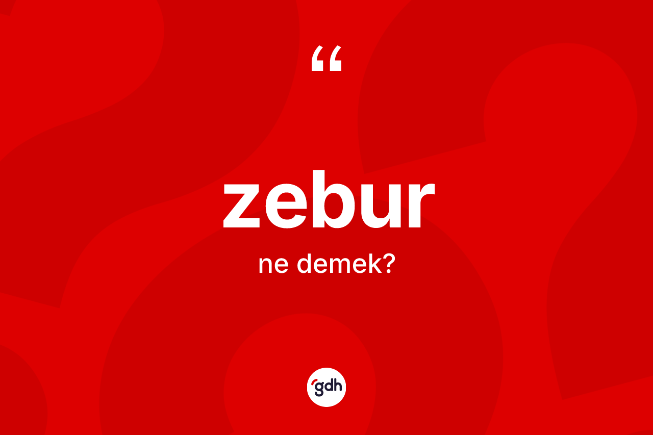 Zebur kelimesi nedir? Zebur'un TDK'ya göre anlamı nedir?