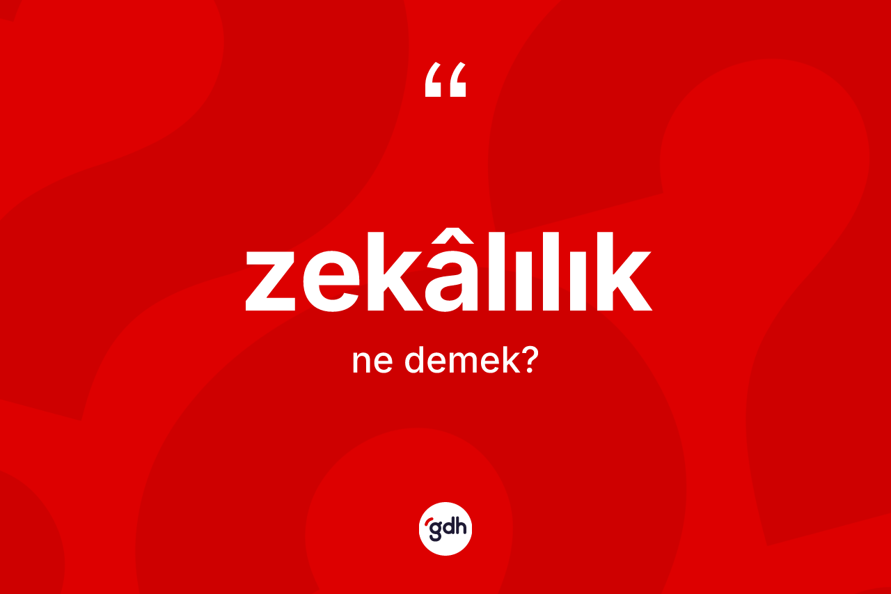 Zekâlılık kelimesinin sözlükteki tanımı nedir? Zekâlılığın kısaca tanımı nedir?