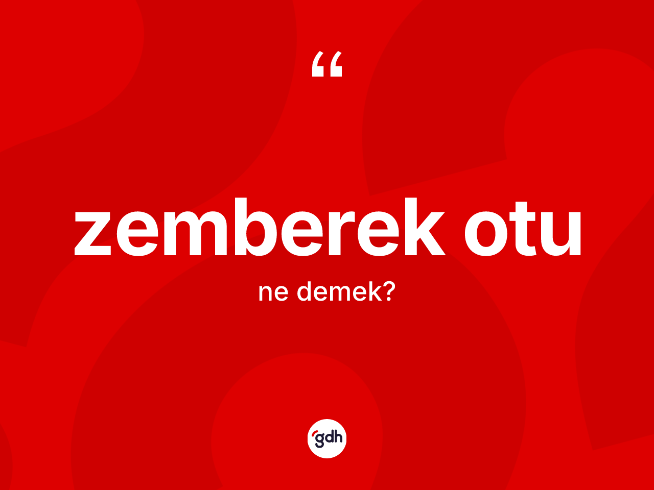 Zemberek otu ne demek? Zemberek otu kelimesinin TDK'ya göre açıklaması nedir?