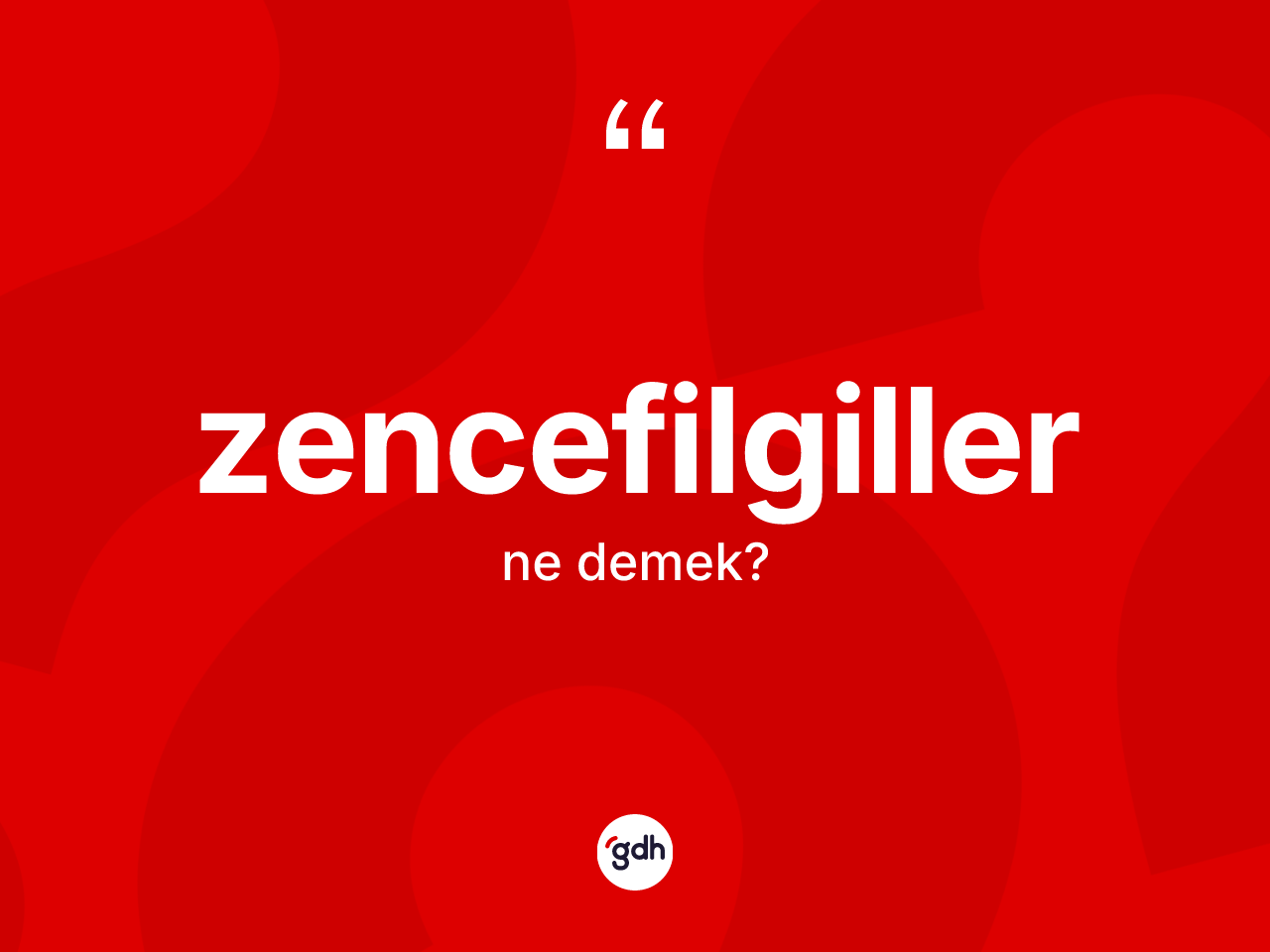 Zencefilgiller kelimesinin anlamı nedir? Zencefilgillerin TDK'ya göre anlamı nedir?