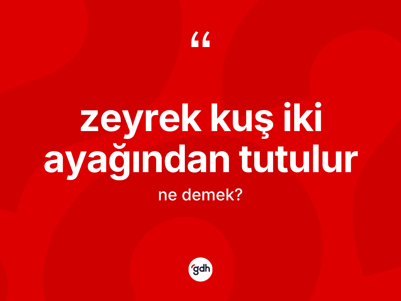 Zeyrek kuş iki ayağından tutulur sözü nedir? Zeyrek kuş iki ayağından tutulur sözü nerede kullanılır?