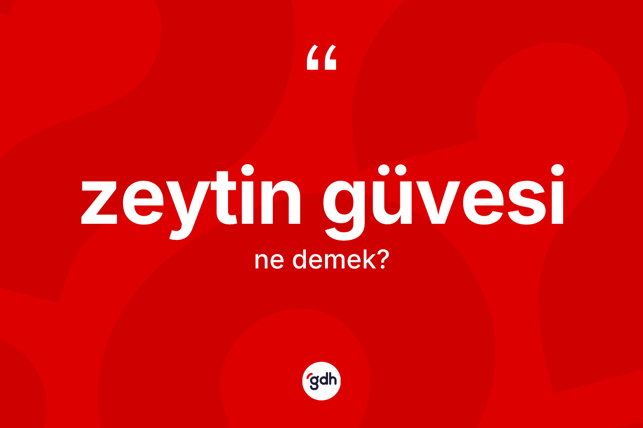 Zeytin güvesi kelimesinin anlamı nedir? Zeytin güvesi kelimesinin kaç farklı anlamı var?