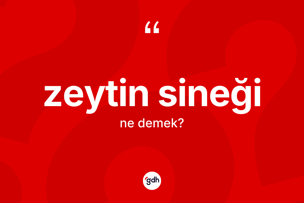 Zeytin sineği kelimesinin anlamı nedir? Zeytin sineğinin kısaca tanımı nedir?