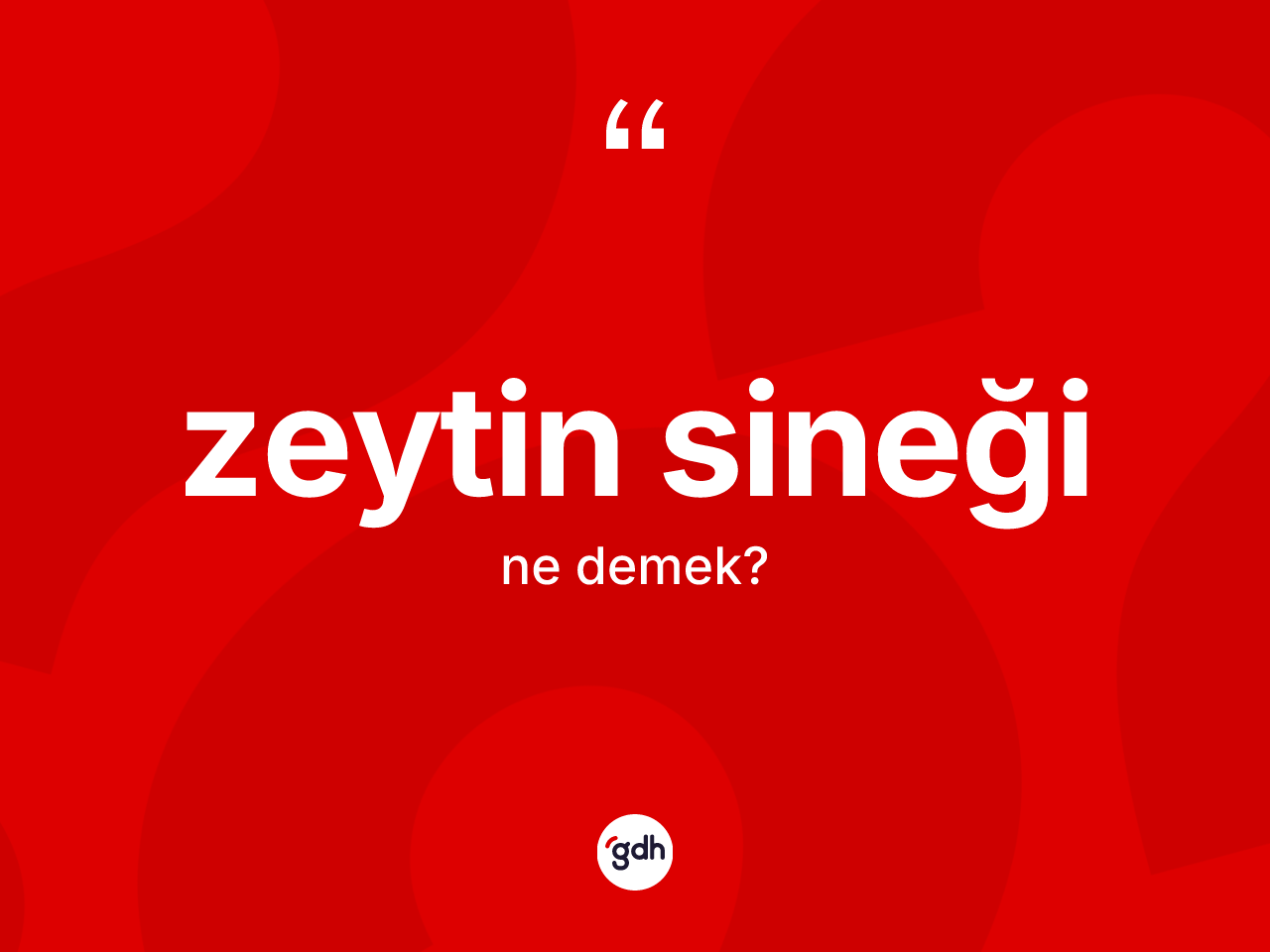 Zeytin sineği kelimesinin anlamı nedir? Zeytin sineğinin kısaca tanımı nedir?