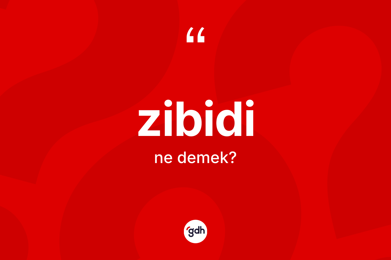 Zibidi kelimesi nedir? Zibidinin TDK'ya göre anlamı nedir?