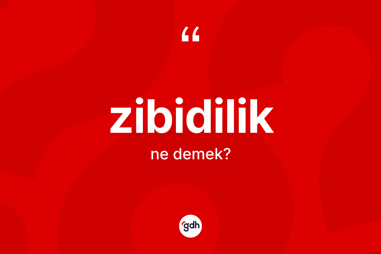 Zibidilik kelimesinin anlamı nedir? Zibidiliğin halk arasındaki kullanımı nasıldır?
