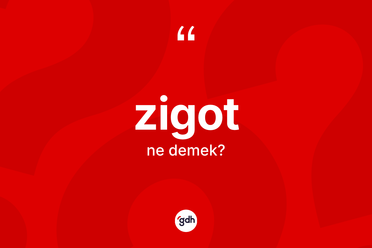 Zigot kelimesinin anlamı nedir? Zigotun halk arasındaki kullanımı nasıldır?