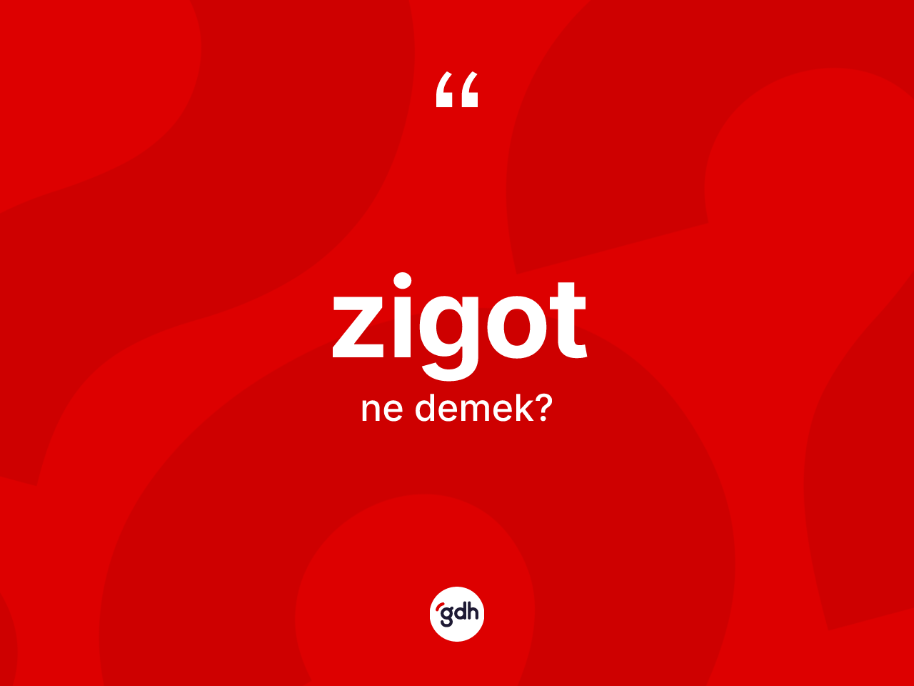 Zigot kelimesinin anlamı nedir? Zigotun halk arasındaki kullanımı nasıldır?