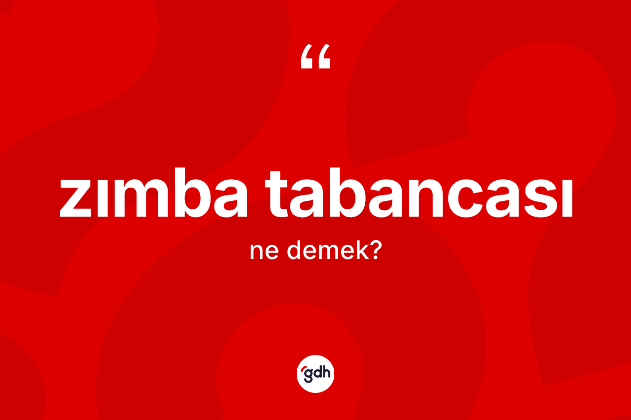 Zımba tabancası kelimesinin sözlükteki tanımı nedir? Zımba tabancasının sözlükteki anlamı nedir?