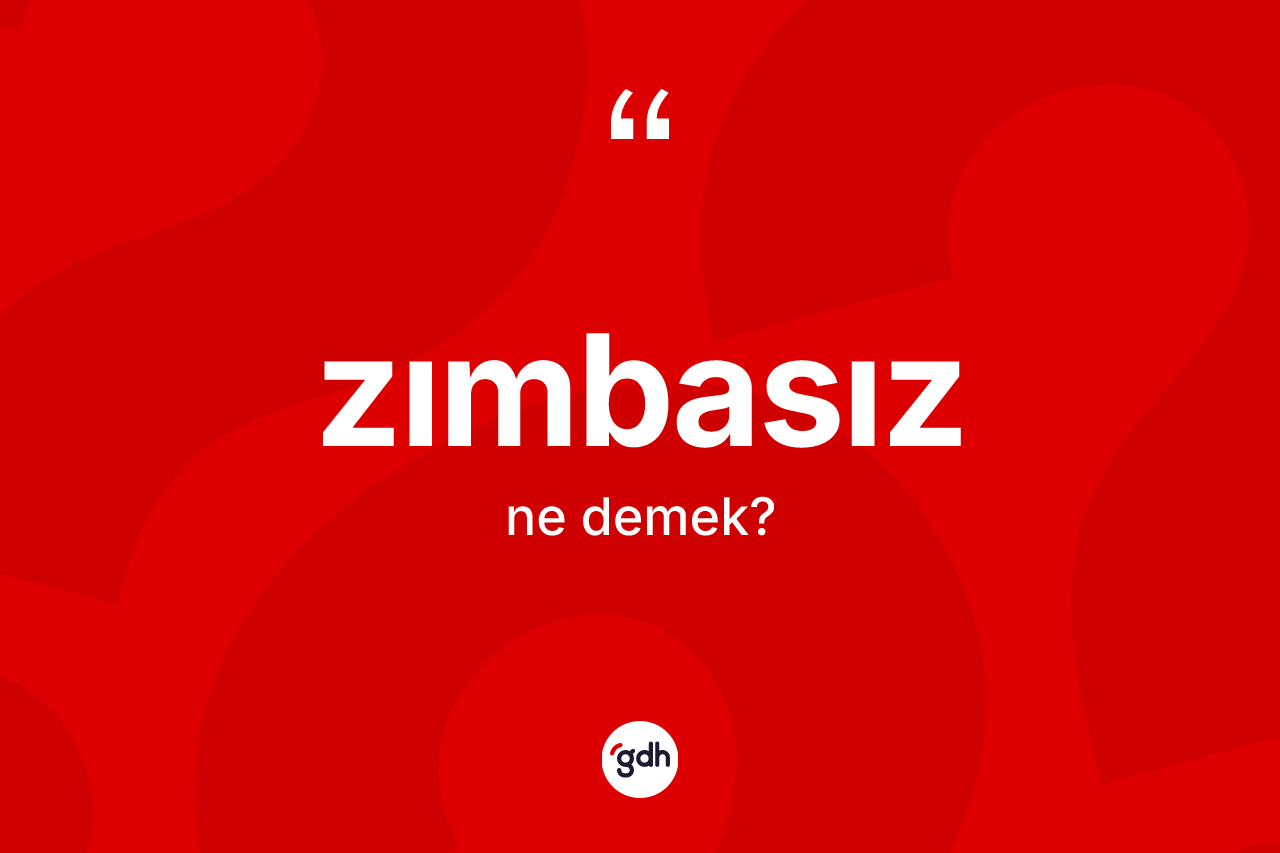 Zımbasız nedir? Zımbasızın TDK'ya göre anlamı nedir?