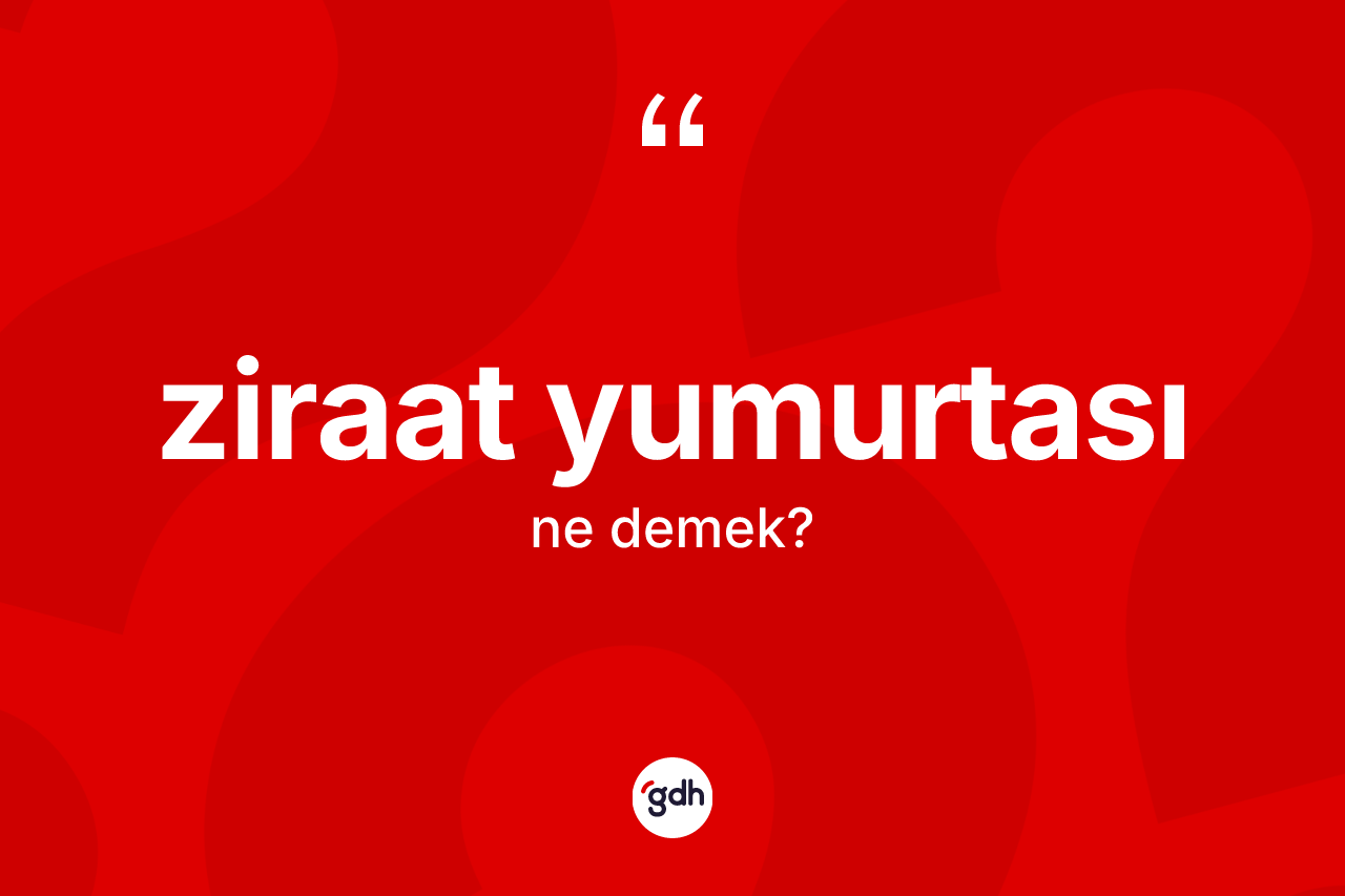 Ziraat yumurtası kelimesinin anlamı nedir? Ziraat yumurtası kelimesinin TDK anlamı nedir?
