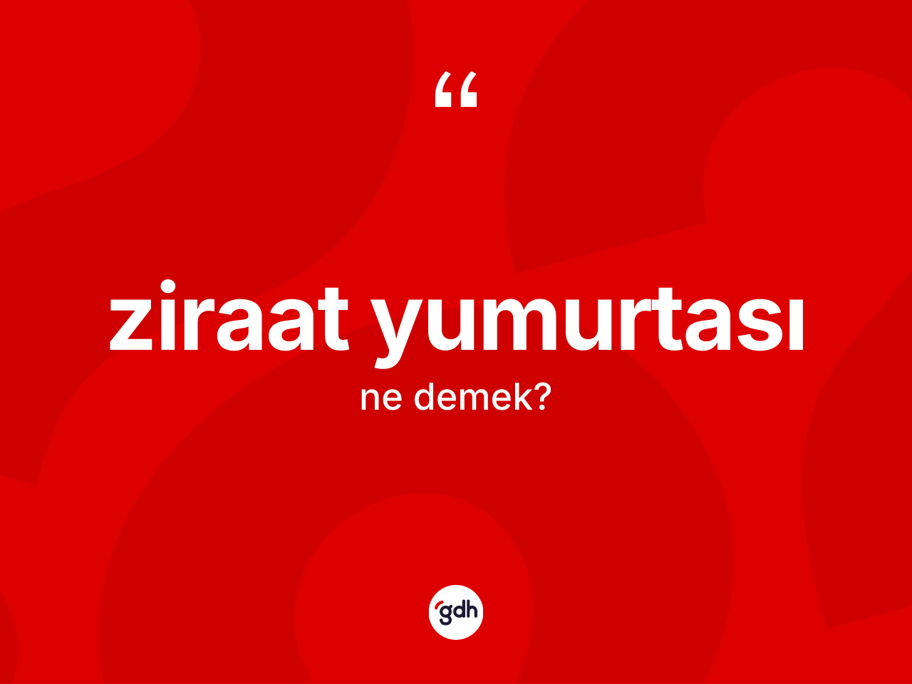 Ziraat yumurtası kelimesinin anlamı nedir? Ziraat yumurtası kelimesinin TDK anlamı nedir?