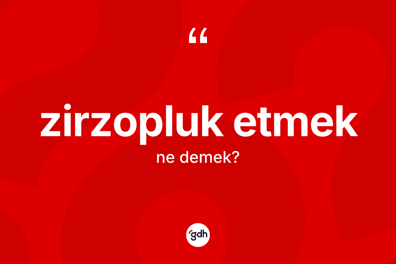 Zirzopluk etmek ne demektir? Zirzopluk etmek ifadesinin özellikleri nelerdir?