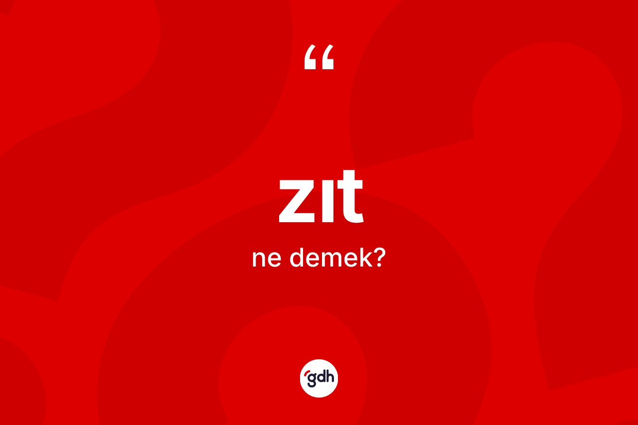 Zıt kelimesinin anlamı nedir? Zıdın TDK'ya göre anlamı nedir?