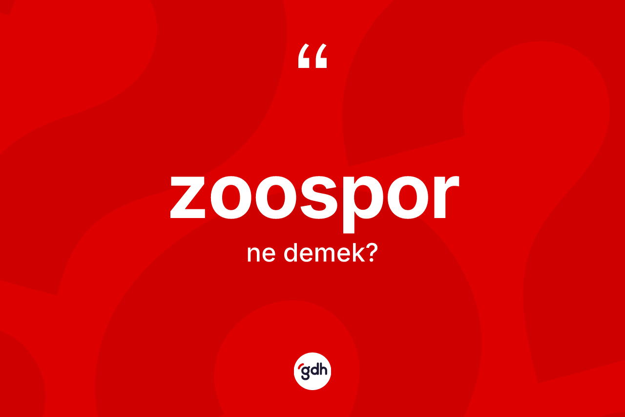 Zoospor kelimesinin sözlükteki tanımı nedir? Zoospor kelimesinin özellikleri nelerdir?